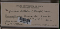 Image Associated With the Occurence